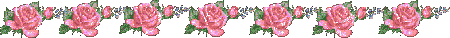 pink roses divider