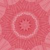 Kaleidoscope Pattern Coral Pink