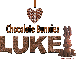 Luke Chocolate Bunny