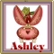 Ashley -Egg Flower