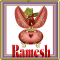 Ramesh -Egg Flower
