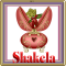 Shakela -Egg Flower