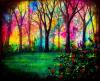 colourful forest