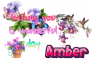 Wising you a wonderful day, Amber