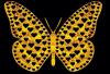 Golden Heart Butterfly