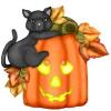 Black Cat n Pumpkin