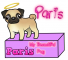 Paris, my pug