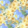  spring flowers seamless background
