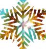 Nativity Snowflake