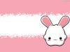 Cute little cartoon bunny background