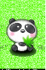Cute little panda sitting down