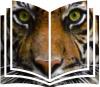 Tiger Book