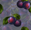 purple plums seamless background