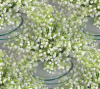 Lily of the valley seamless background 