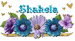 Name in purple- Shalela