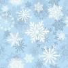 Snowflakes Background/Winter