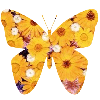 Flower'd Butterfly
