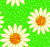 daisy seamless background