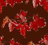 Autumn Fall leaves - background