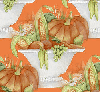 Pumpkin - background