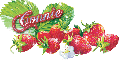 Strawberrys~Connie