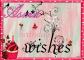 Asma -Birthday Wishes