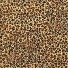 cheetah background