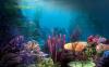 underwater scene background