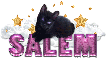 Salem-Cute cat