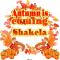 Shakela -Autumn is coming