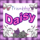 Daisy -Friendship is...