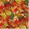 Autumn fall leaves - background