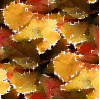 Autumn Fall leaves - background