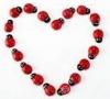 Ladybug Heart