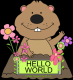 Hello World~!