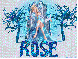 Frozen - Rose