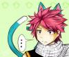 Fairy Tail Natsu as a kitty