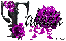 Purple Roses - Tabhita