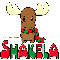 Cutie - Shakela