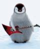 Rock n' roll penguin!