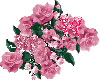 Disco roses