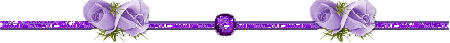 Purple divider