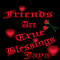 Friends are True Blessings-Jaya