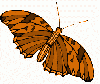 Butterfly Gem 