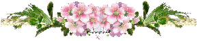 Flowers - div - fg