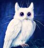Cat-Owl