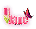 Single Pink Tulip: Jane