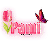 Single Pink Tulip: Pami