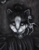 Victorian Goth Cat