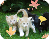 Kittens with leaves